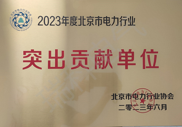 47、2023年度北京市電力行業突出貢獻單位